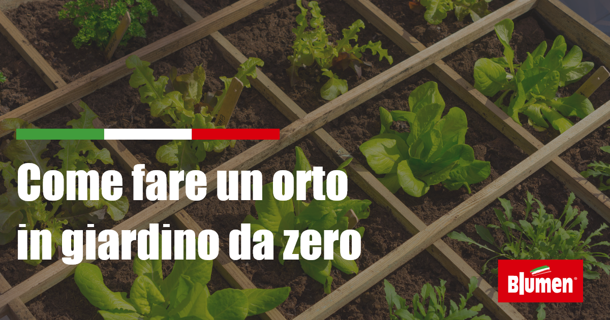 Come Fare Un Orto In Giardino Da Zero In Punti Fito