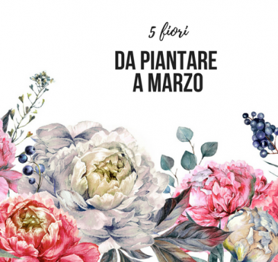 fiori da piantare a marzo