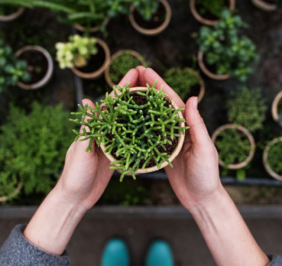 5 errori comuni da fare in giardino e come rimediare