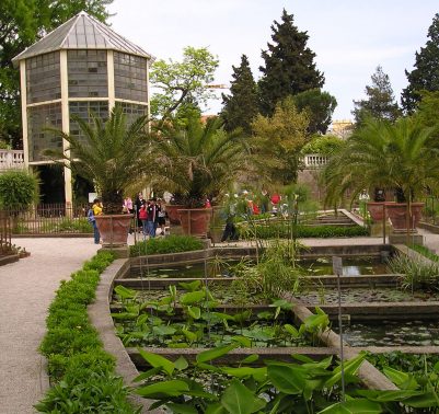 Orto botanico Padova