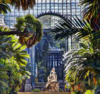 orto botanico palermo 1