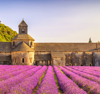 Campo di lavanda