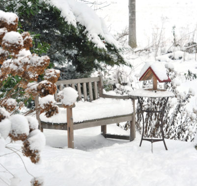 Giardino con panca coperto di neve- curare giardino in inverno