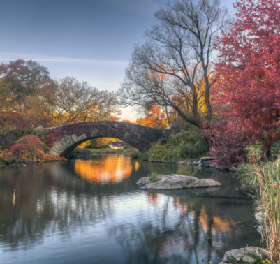 Film girati a central park