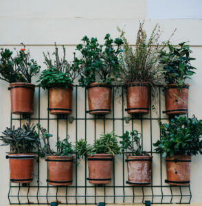 giardinaggio verticale, esempio di vasi