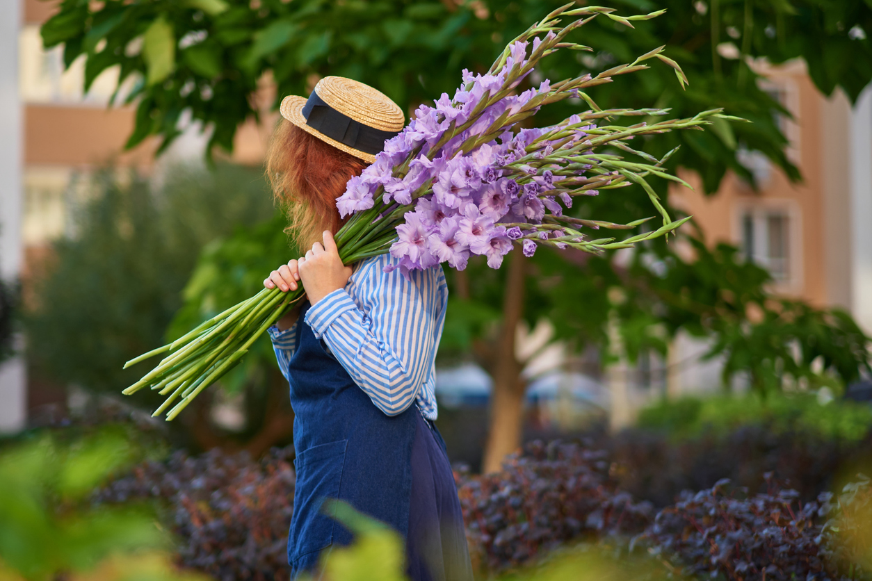 Coltivazione del Gladiolo: Guida Completa per Fiori Splendenti nel Tuo Giardino