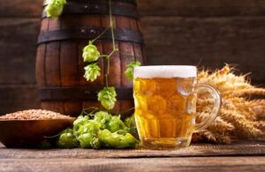 come coltivare il luppolo per la birra - boccale di birra